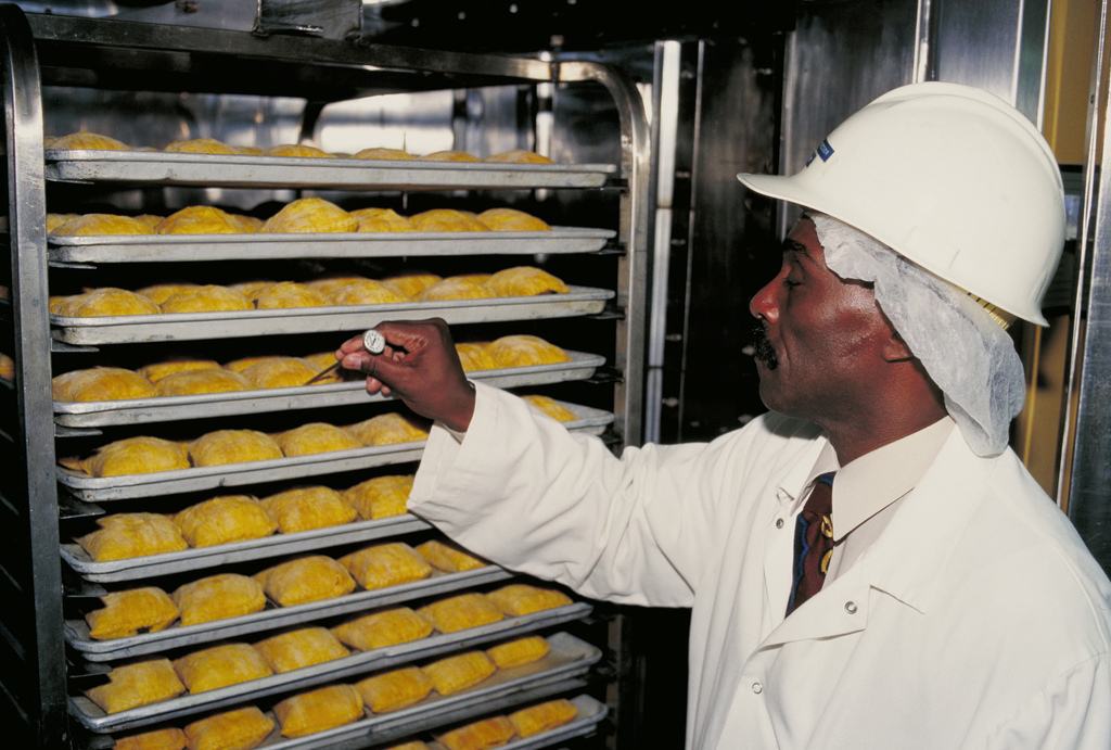 IGIENE DEGLI ALIMENTI: SISTEMA HACCP 